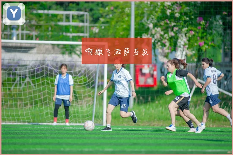 中超联赛球队实力排名与球员转会动态